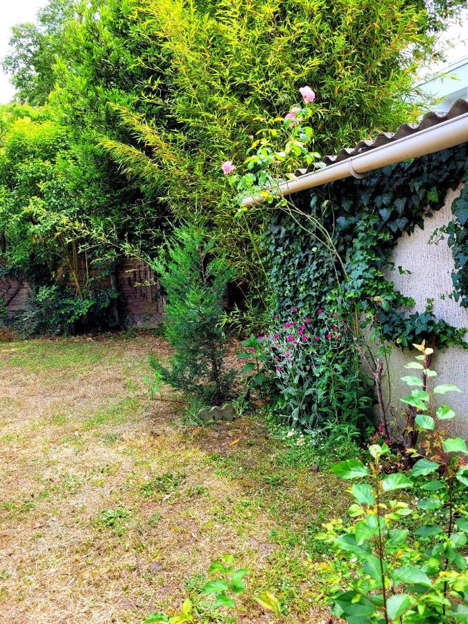 Villa Avec Piscine A Bordeaux Eksteriør bilde